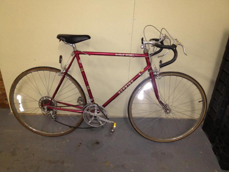 Schwinn World Sport Mens 15 Speed Bicycle
