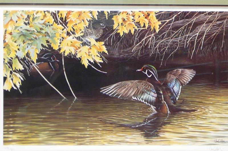 lot 10 image: Wood Duck By Ron Van Gilder #60015...