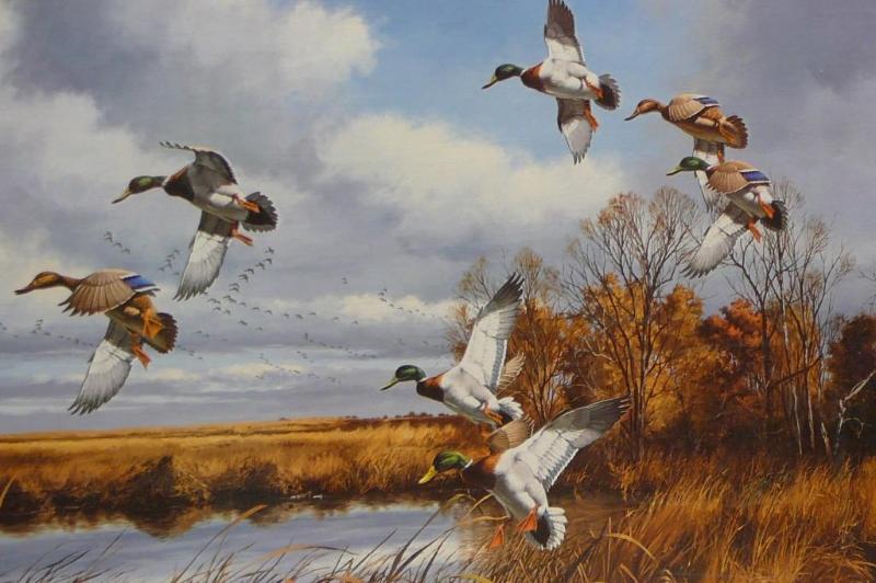 lot 12 image: Greenhead Country By David Maass #1...