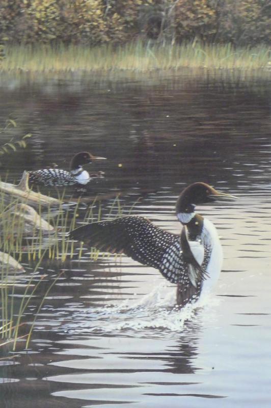 lot 20 image: Wings at First Outting By Rick Kell...
