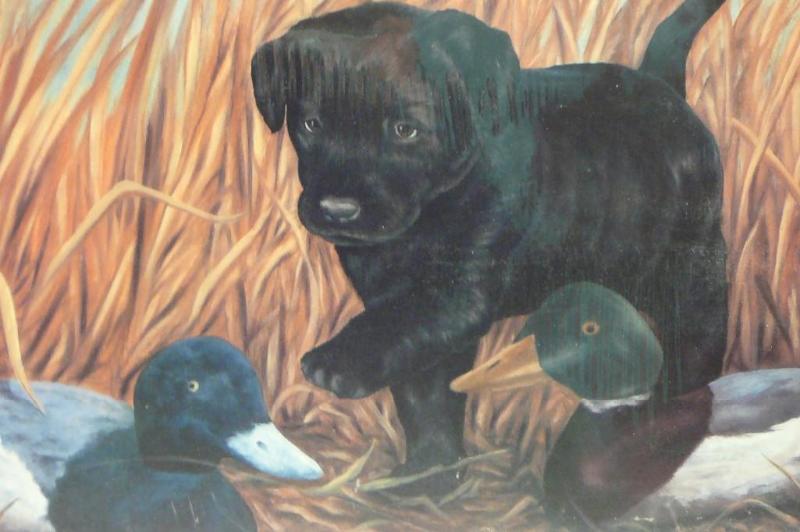 lot 28 image: Curiosity By June Newberg #17500 2...