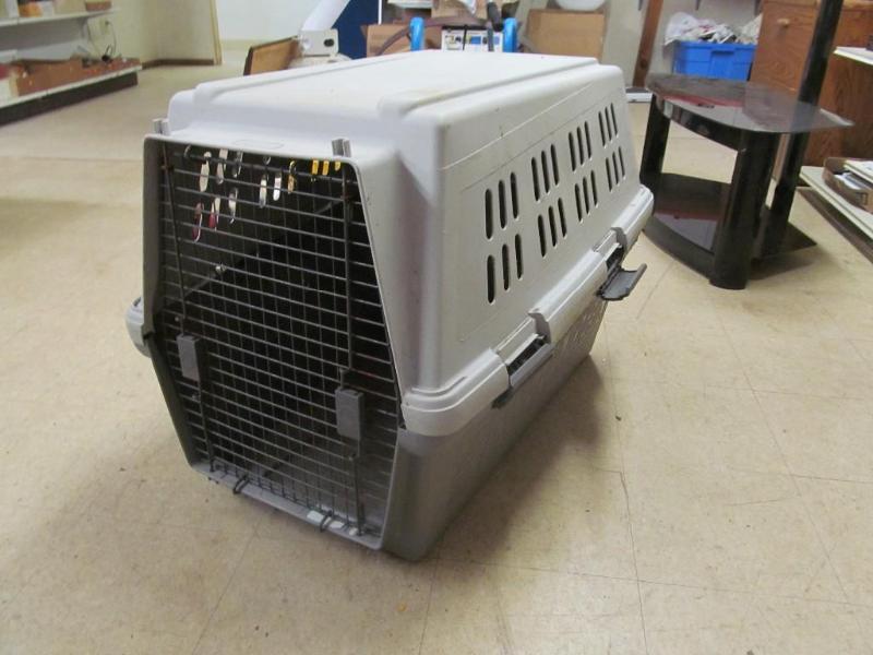 Extra Large 450 Pound Capacity Pet ...
