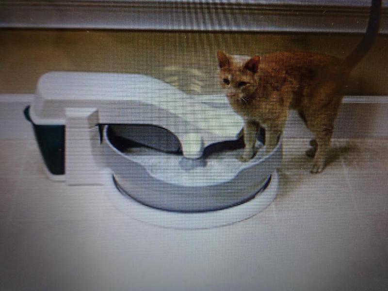 SIMPLY CLEAN AUTOMATIC LITTER BOX S...