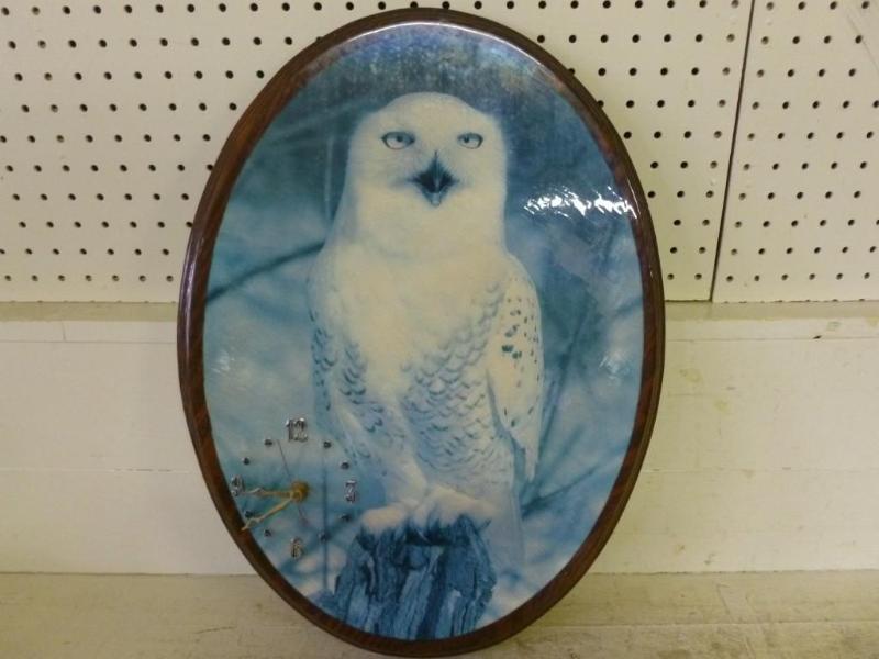 Large oval owl picture wood plaque ...