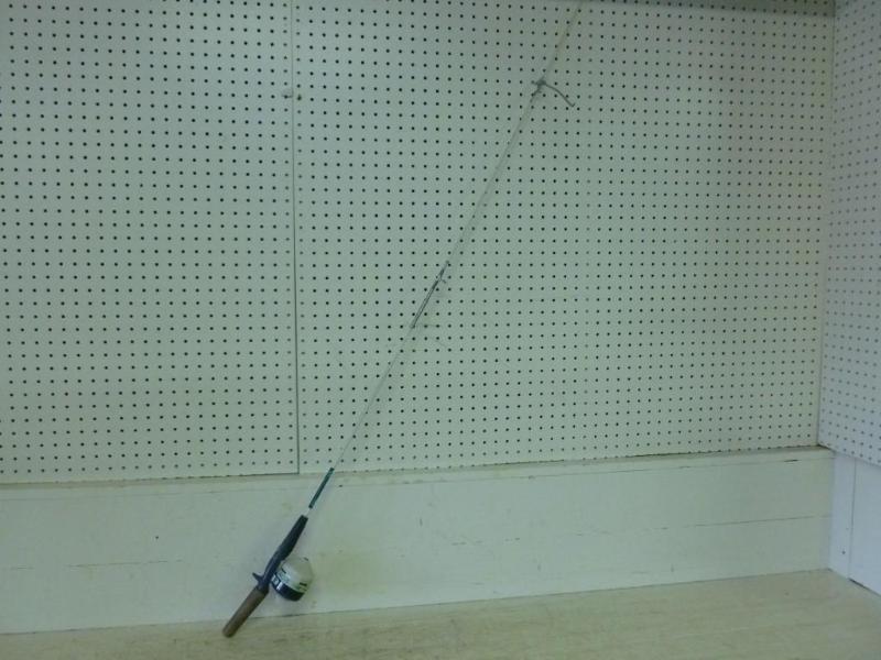 Fishing rod and reel combo that inc...