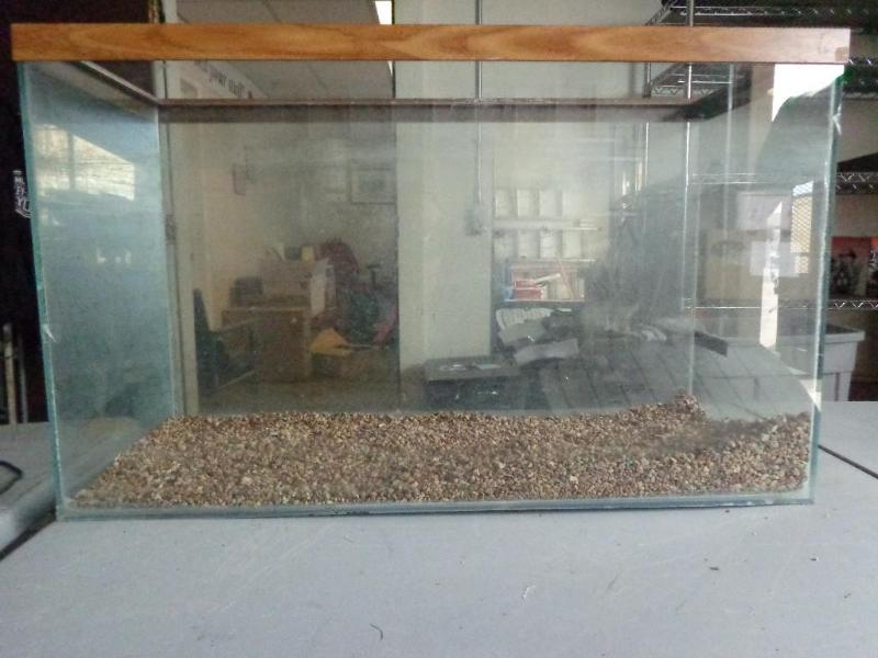 lot 28 image: Aquarium with light and gravel....