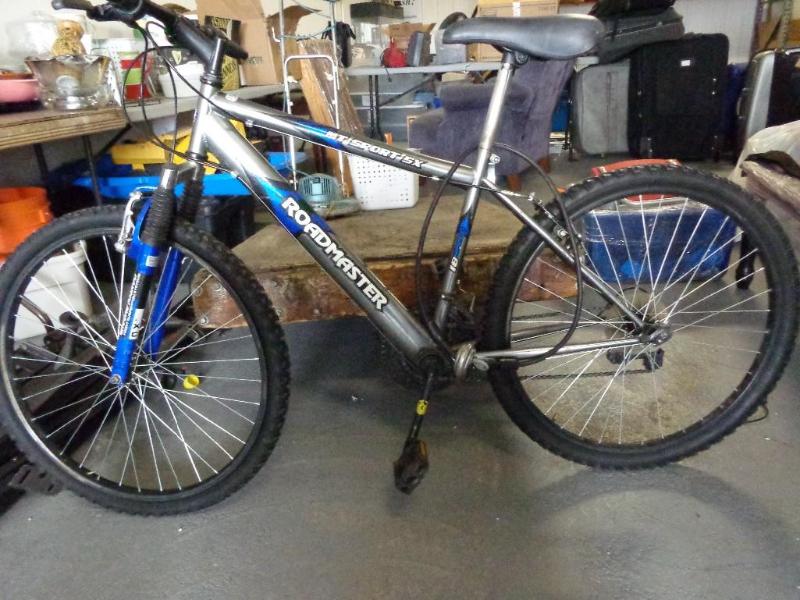 lot 33 image: Mountain Sport SX mountain bike wit...