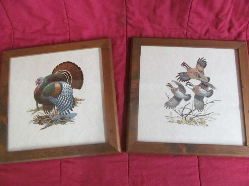2 Wildlife Pictures - Turkey and Qu...