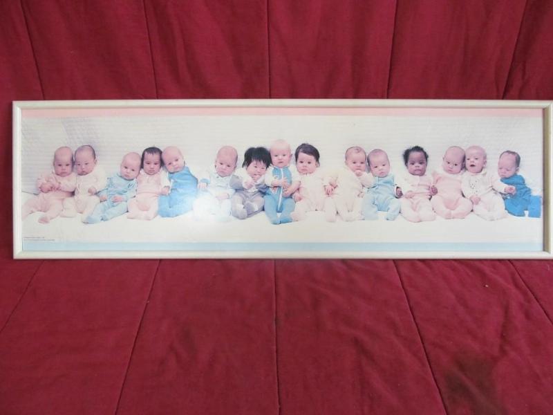 Picture of 15 Babies 12&quot x 40 ...