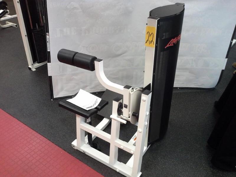 lot 22 image: LifeFitness back machine