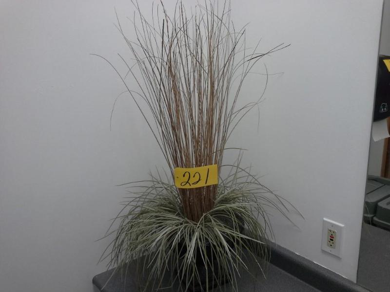 lot 221 image: Plastic Flower Pot