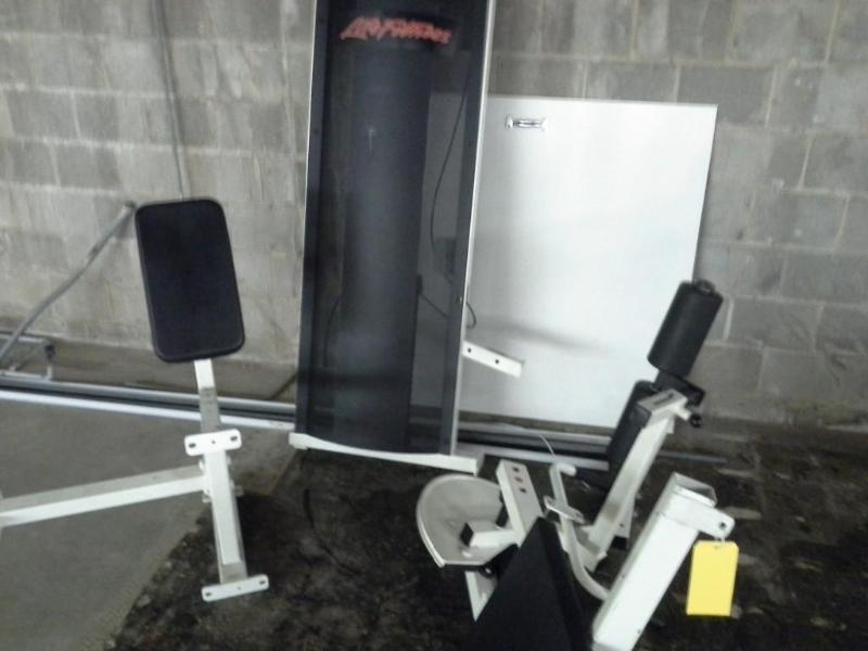 lot 237 image: Life Fitness Leg Extension