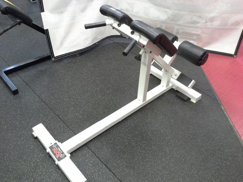lot 30 image: YORK back extension machine