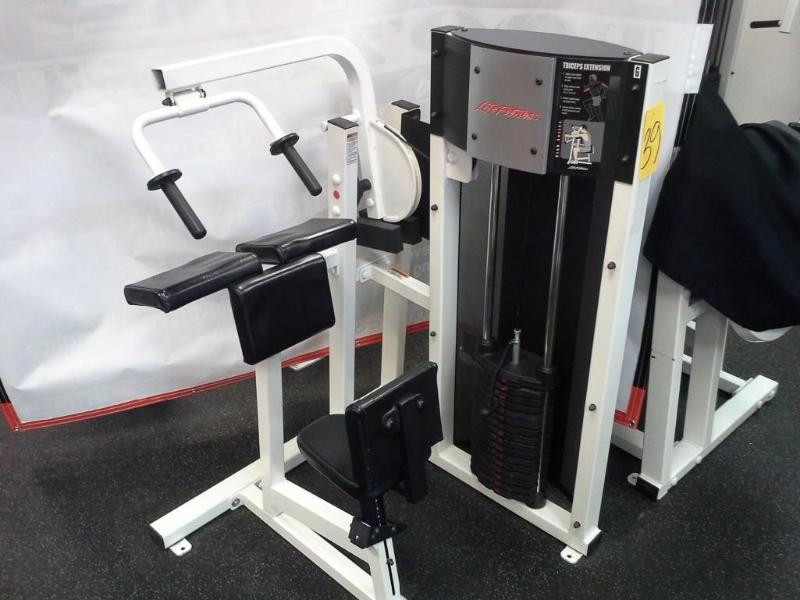 lot 39 image: LifeFitness, triceps machine