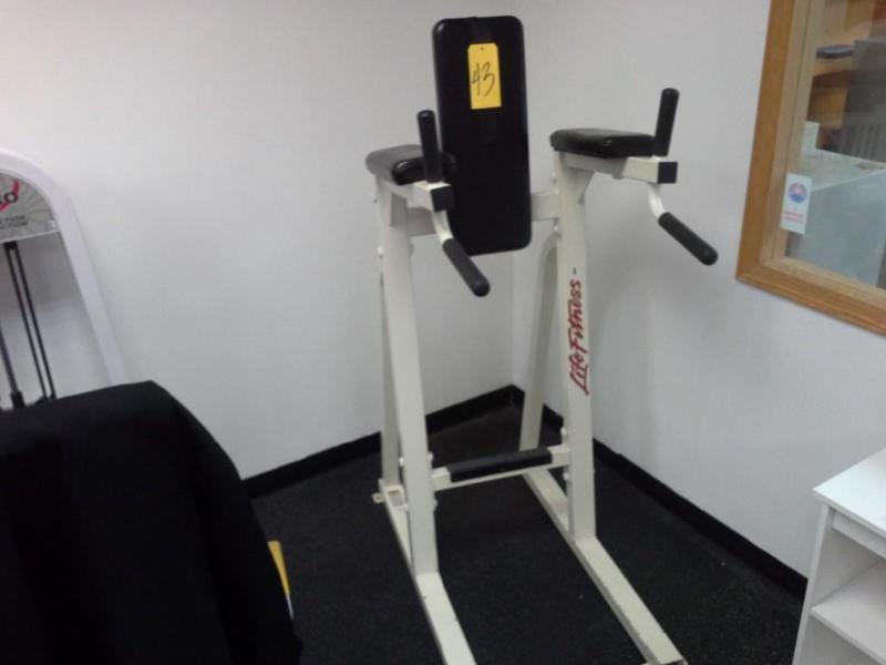lot 43 image: LifeFitness dip machine.