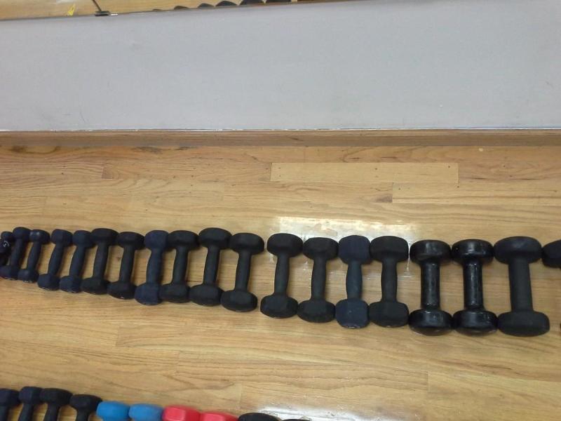 lot 80 image: Hand weights, dumbbells.