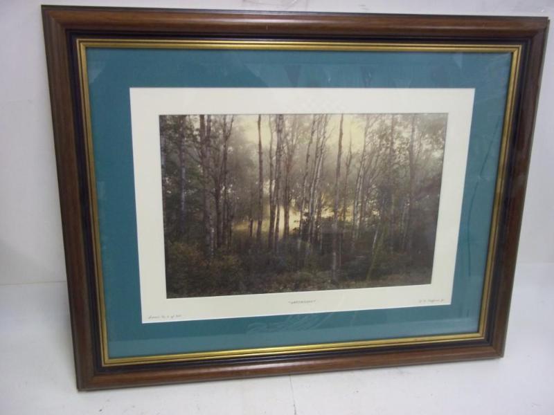 Print 29 x 23&nbsp Vaterslicht...