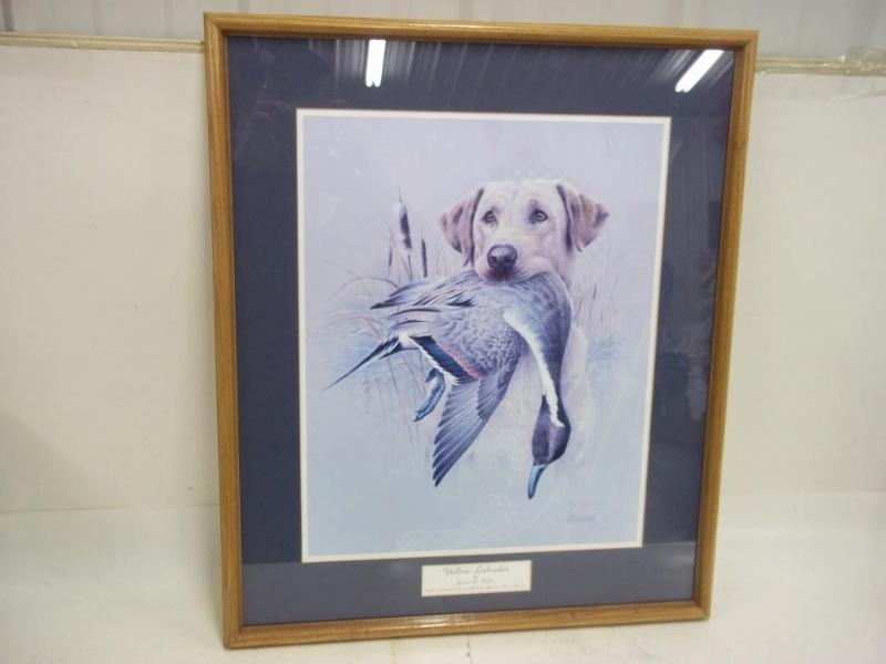 Print 21 x 25&nbsp Yellow Labrador...