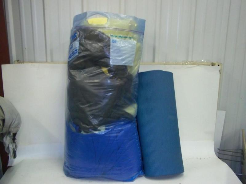 Pair of sleeping bags with sleeping...