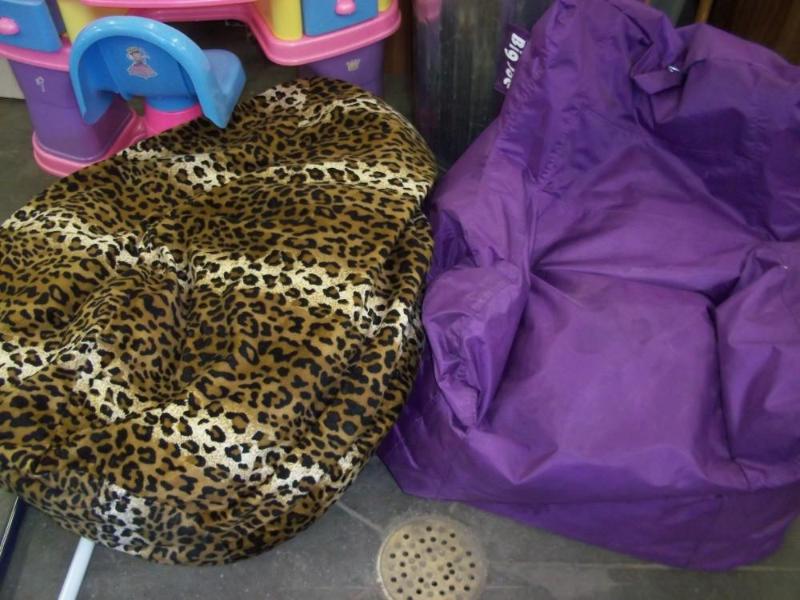 Pair of Bean Bags...