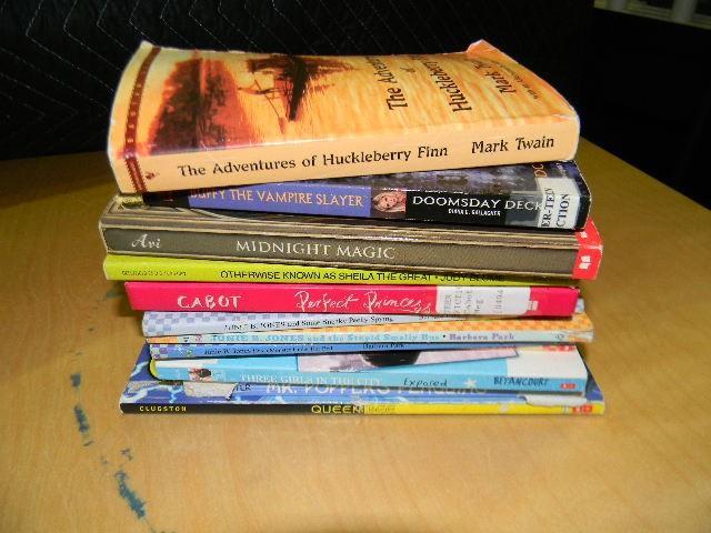 Lot of 12 chapter books for kids - ...