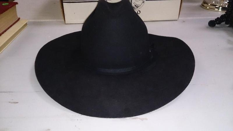 Very nice Beaver Brand Hat in mint ...