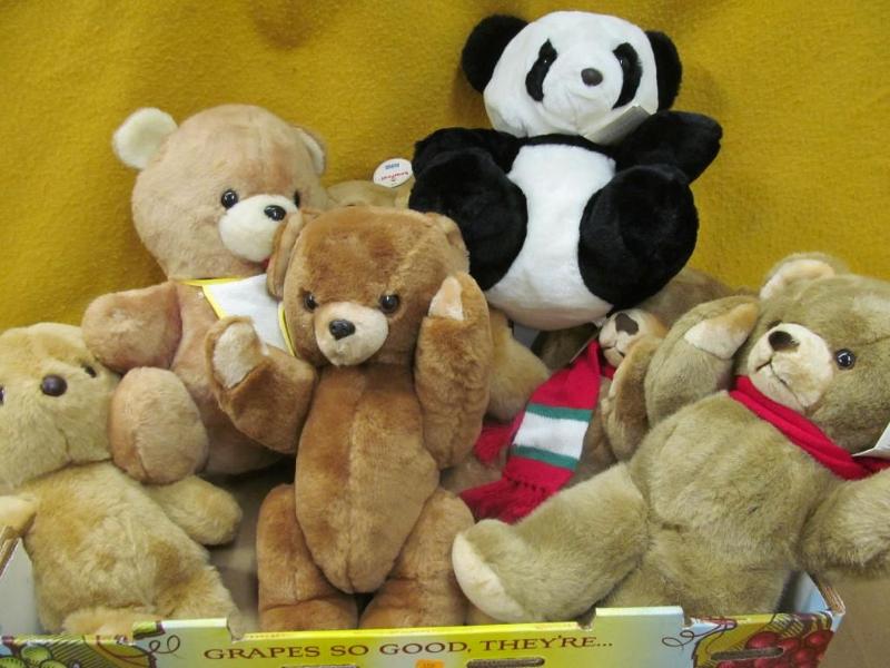 Stuff animals -- all Bears...
