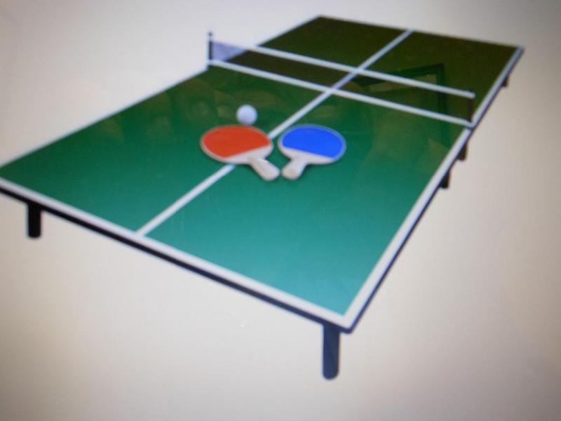 TABLETOP PING PONG GAME. Bidder is ...