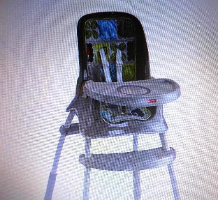 FISHER-PRICE RAINFOREST GROW WITH M...