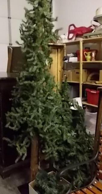 lot 41 image: 8 Assorted Trees and 1 Evergreen Ga...