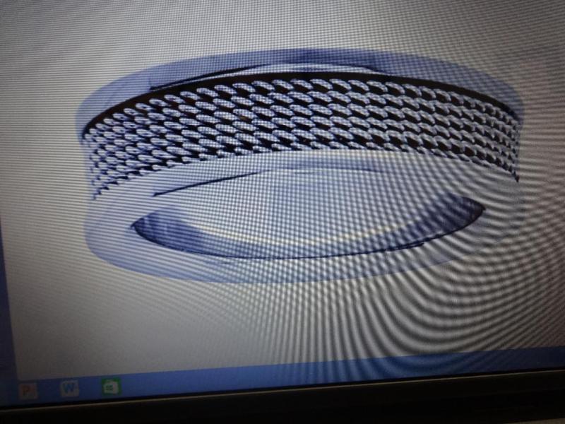 TITANIUM MESH MENS RING- SIZE 9 . ...