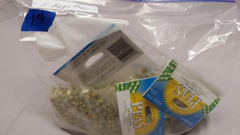 5 Bags of Pea seeds.. Sell by date ...