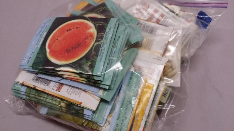50 packs of assorted seeds includi...