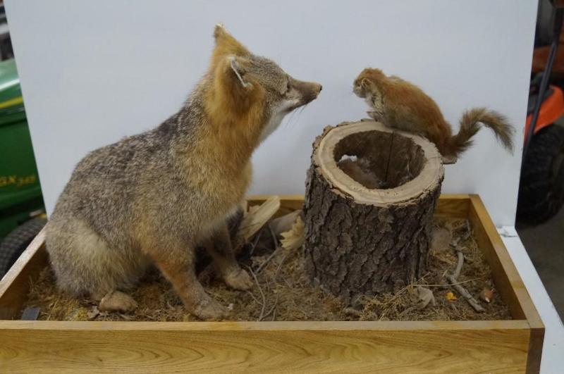 Fox and Squirrel mount