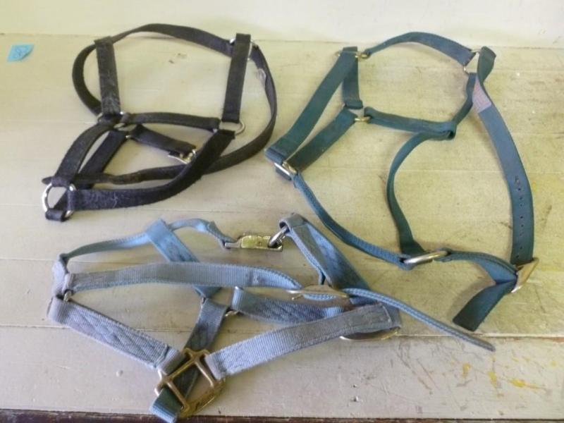 lot 112 image: Lot of three good horse related ite...