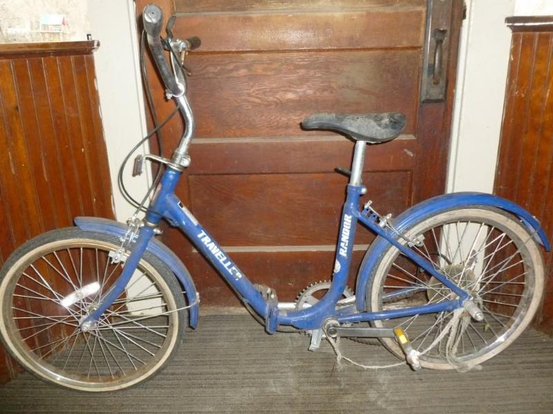 lot 12 image: &nbspRandor Traveller 3 speed 15&...