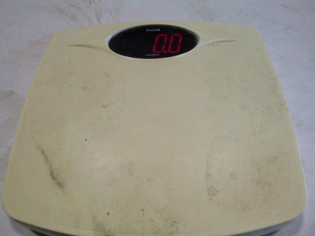 Taylor Digital Scale Tested and wor...
