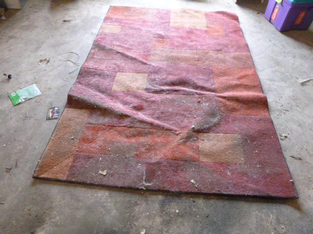 Area Rug 63&quot X 92&quot - need...