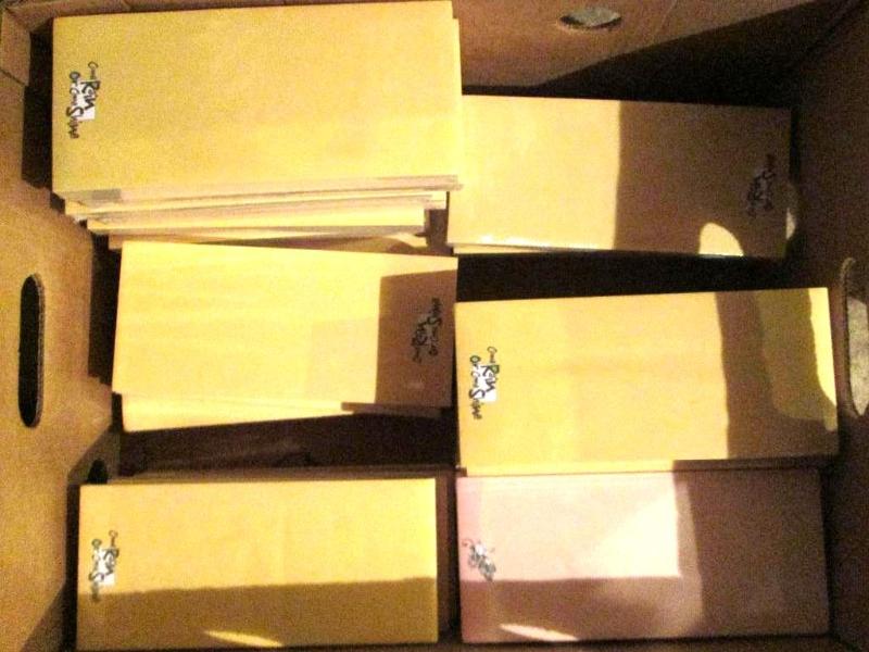 Lot of 250 sheet packs of decorator...
