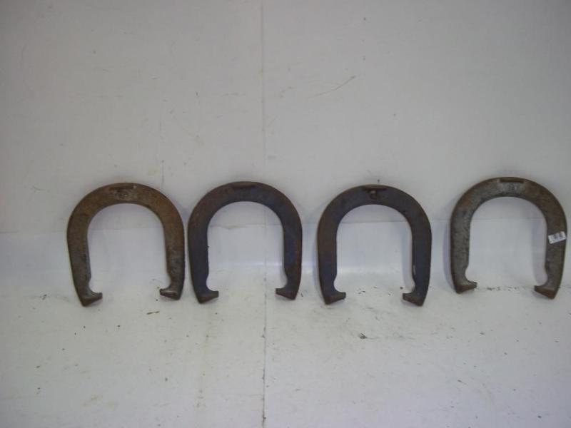 Horseshoe Set...
