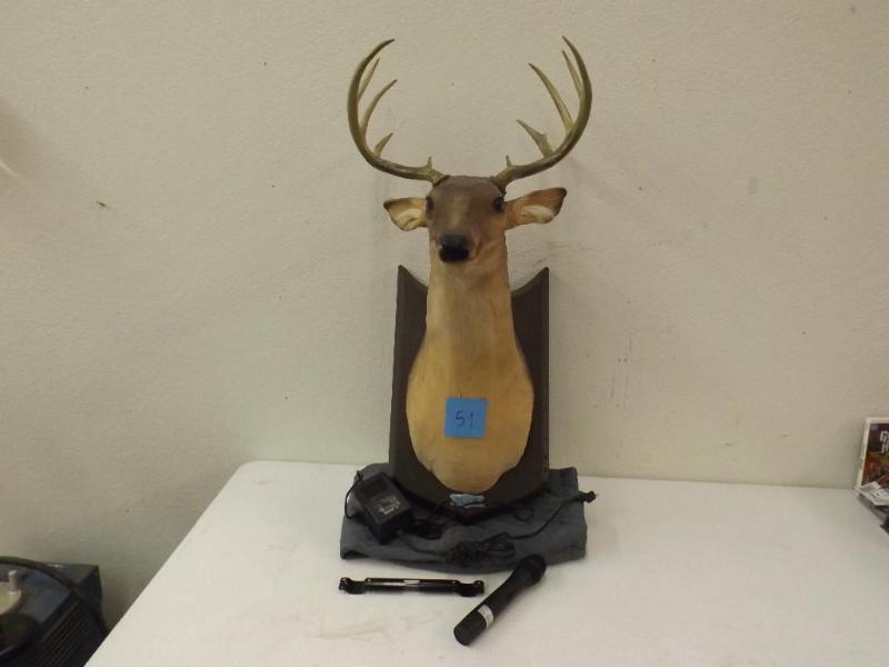 &quotBuck&quot - not a real mount...