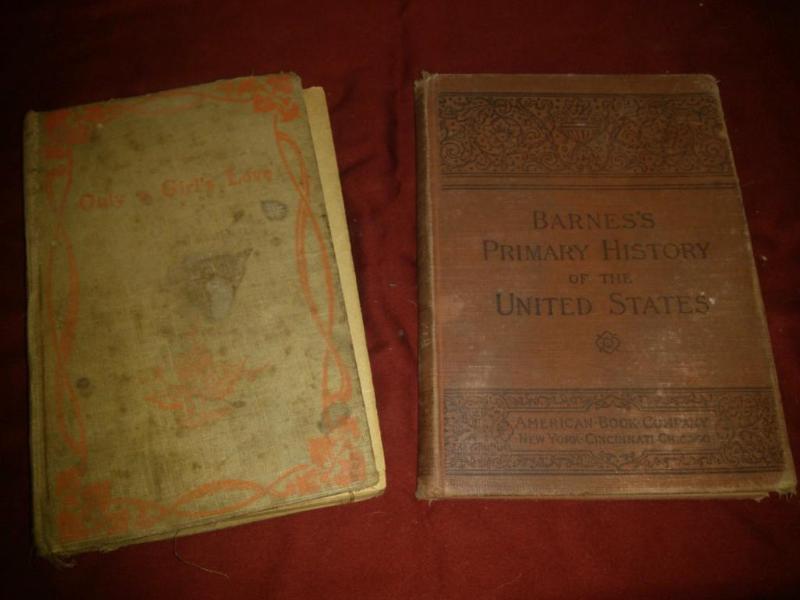 Vintage books 1919 Barnes Primary H...