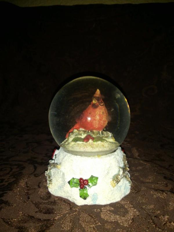 Cardinal water Globe Music Box Stil...