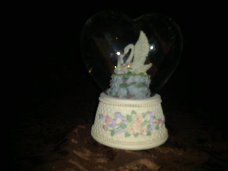 Swan Musical Water Globe-Still have...