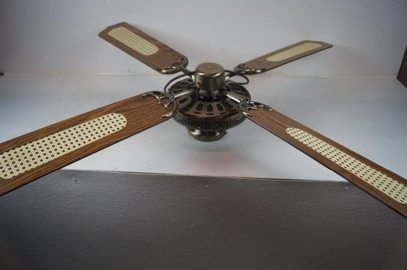 Ceiling Fan