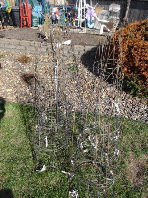 lot 14 image: Tomato plant cages. Qty 10...