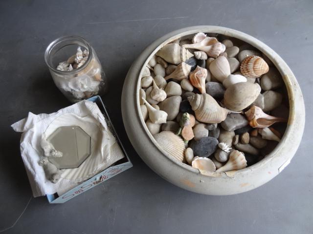 lot 170 image: Misc sea shelss and rocks...