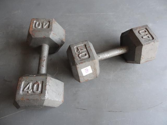 lot 173 image: 40 lb hand weights...