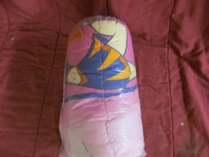lot 61 image: Childrens Sleeping Bag - Kim Possi...