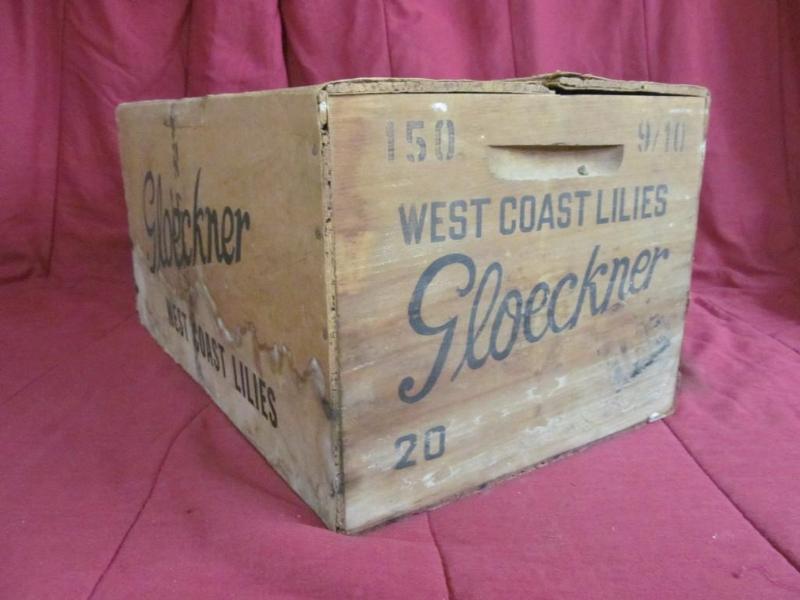 lot 98 image: 2 x 14 12 x 12 in High Gloeckner W...